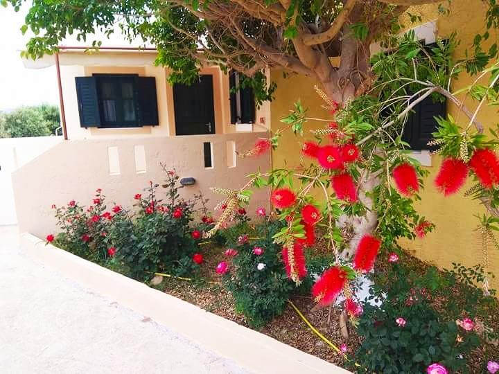 Kouremenos Beach Apartments Palékastro Eksteriør bilde